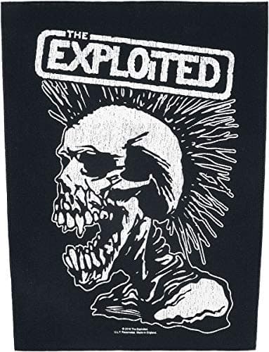 Image of The Exploited Vintage Skull Back Patch multicolour