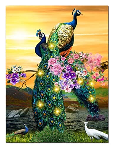Image of Alottagifts Peacock Paradise Lighted Canvas Wall Art Print 16" x 12" With Timer | LED Design (Peacock Sun)
