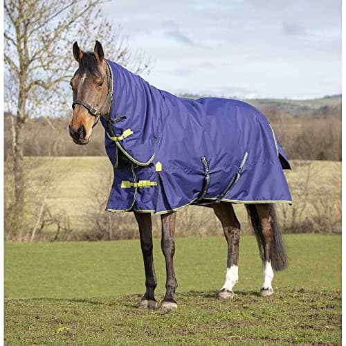 Image of Asker 0g Horse Combo Neck Turnout Rug - Navy Blue 6ft3