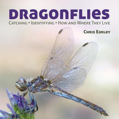 Image of Dragonflies: Catching - Identifying - How and Where They Live