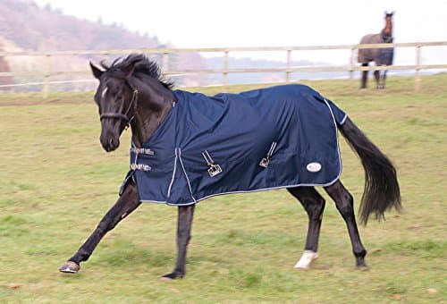 Image of Rhinegold Torrent Outdoor Rug - 5/6 - Navy