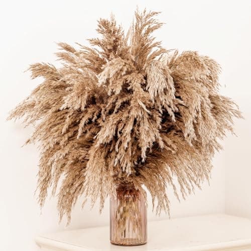 Image of GOALS 20-Pcs Fluffy Pampas Grass 70cm Tall Brown Dry Boho Room Decor Natural Pampa Bouquet Wedding Fall Home Decoration (Brown, 70 cm Tall)