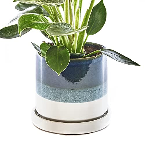 Image of CHIVE �Minute� Ceramic Succulent Planters � 5� Indoor Cactus & Flower Container Pots with Drainage & Detachable Saucer � Green Blue
