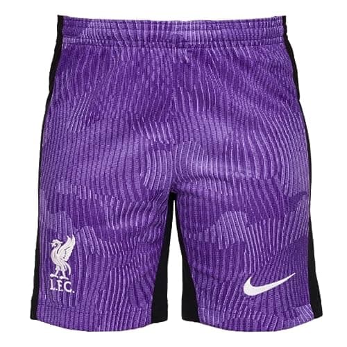Image of Nike Liverpool FC Season 2023/2024 Official Third Stadium Men's Shorts XS