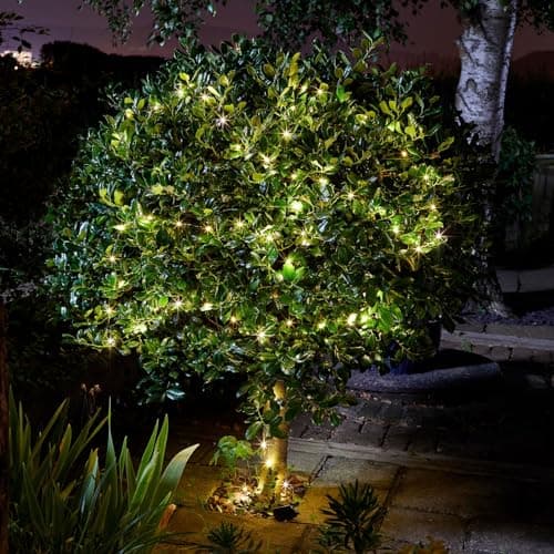 Image of Smart Solar 200 Warm White Firefly Solar Light String JNS_476608