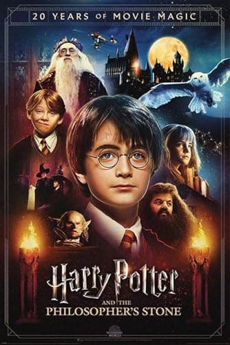 Image of Harry Potter - 20 And de Magie du Cinéma - Poster 61 x 91 cm