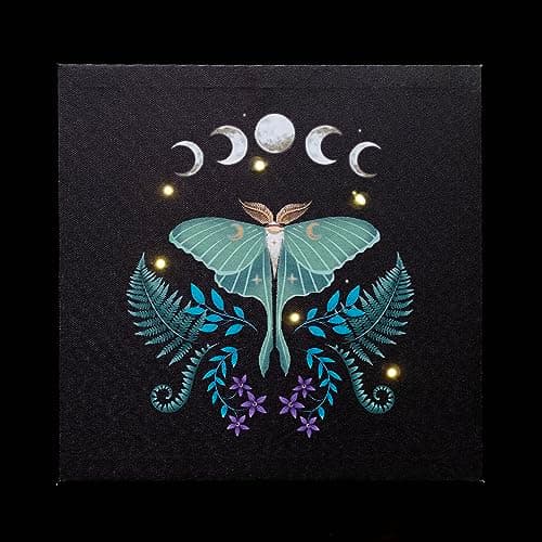 Image of Something Different Wholesale Ethereal Glow Canvas - Luna Moth Light-up Wall Art (30x30cm) | Mesmerizing LED-Illuminated Home Decor with Enchanting Illustration