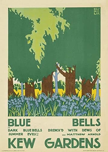 Image of RPW Roystone Print Works Vintage London Underground 'Kew Gardens Blue Bells', 1920, Edward McKnight Kauffer, Reproduction Vintage Art Deco Travel Poster (A3)