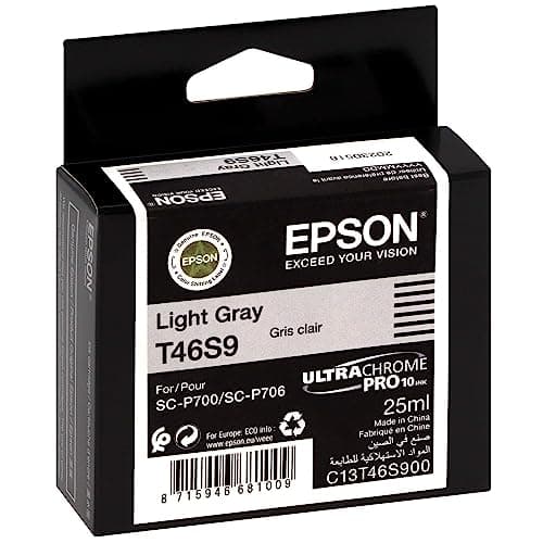 Image of Epson Singlepack Light Gray T46S9 UltraChrome