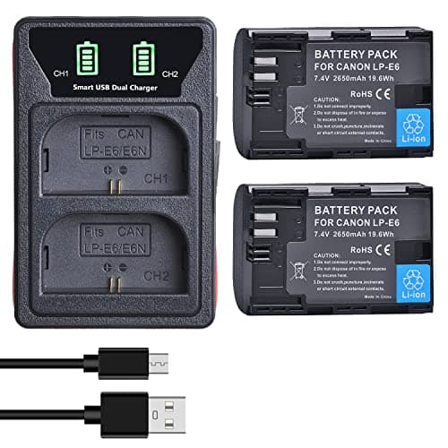 Image of DuraPro 2X LP-E6 Battery + LED Built-in USB Charger with Type C Port for Canon LP-E6, LP-E6N and Canon EOS 5D Mark II/III, 5DS, 5DS R, 6D, 7D, 70D, 80D, XC10, Blackmagic 4K/6K Cameras