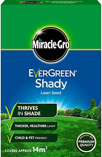 Image of Miracle-Gro 2 x Shady Lawn Seed 420g - 14m2