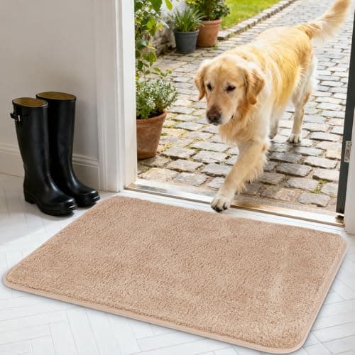 Image of AUAUY Door Mats Indoor, Super Absorbent and Non-Slip Indoor Door Mat, Dirt Trapper Doormat, Machine Washable Doormats Rug for Entrance, Inside, Kitchen, 50 x 80 cm(Beige)