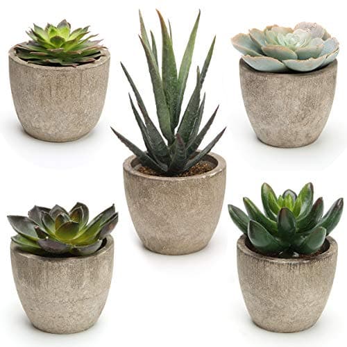 Image of COITEK Set of 5 Artificial Succulent Plants Potted Assorted Decorative Faux Succulent Potted Fake Cactus Cacti Plants with Pots