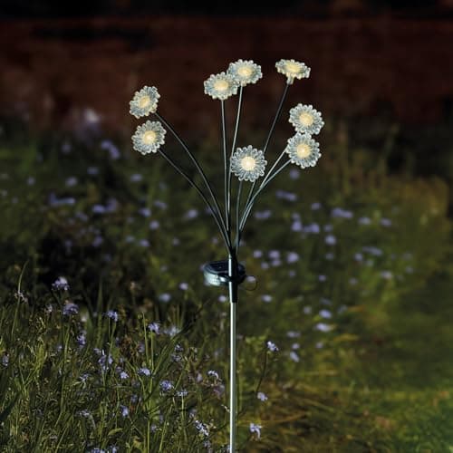 Image of Festive Lights - 70cm Solar Garden Flower Stake Light with 8 Warm White LEDs - Weather Resistant Outdoor Decor, Adjustable Arms & Tiltable Panel - Automatic Dusk to Dawn Glow for Pathways & Borders