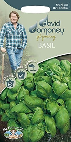 Image of Mr Fothergills - Herb - David Domoney Basil Sweet - 650 Seeds