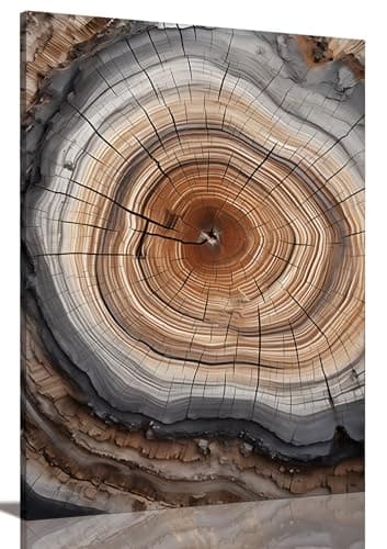 Image of IBHJSART Framed Tree Ring Canvas Wall Art Vintage Colorful Wood Stump Painting Prints Modern Minimalist Pictures Neutral Nature Rustic Farmhouse Decor Living Room Bedroom Bathroom Office