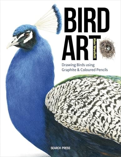 Image of Bird Art: Drawing Birds Using Graphite & Coloured Pencils