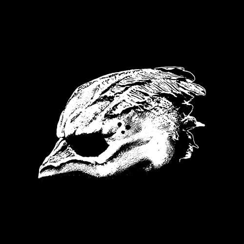 Image of Legend Of The Seagullmen [VINYL]