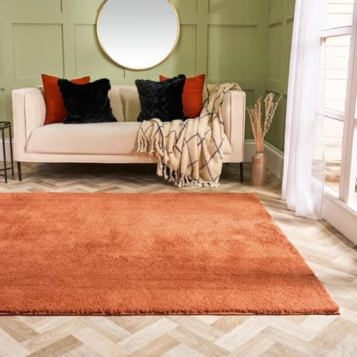 Image of OHS Area Rugs for Living Room, Rugs for Bedroom Home Decorative Non Slip Modern Super Soft Cosy Teddy Thick Pile Medium Non Shedding Shaggy Rug Floor Carpet, Rust - 120 x 170cm