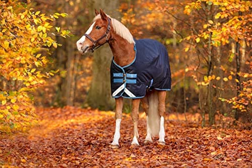 Image of Horseware Ireland Amigo Bravo 12 Original Pony Turnout Blanket (250g Medium), Size: 45, Color: Navy (Turquoise/Aqua Trim)