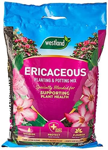 Image of Westland 11400006 Ericaceous Compost, Pink