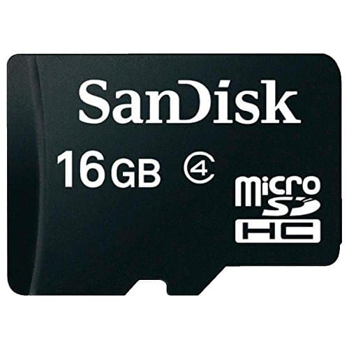 Image of SanDisk 16 GB microSDHC Memory Card Only - Frustration-Free Packaging, Black