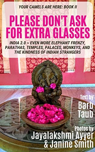 Image of Please Don't Ask For Extra Glasses: Your Camels Are Here Book 2—Even more elephant frenzy, parathas, temples, palaces, camels, and the kindness of Indian strangers