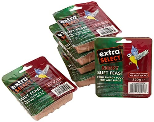 Image of Extra Select Wild Bird High Energy Suet Block Wild Berry, 320 g (Pack of 6)