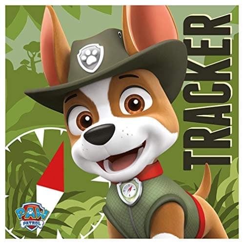 Image of Pyramid International "Paw Patrol Tracker Canvas Print, Multi-Colour, 40 x 40 x 1.3 cm