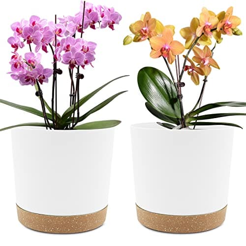 Image of QCQHDU 20cm Plant Pot, 2 Pack Planters for Indoor Plants with Drainage Holes & Saucer, Outdoor Flower Pots Home Garden Modern Decor (White, 20cm)