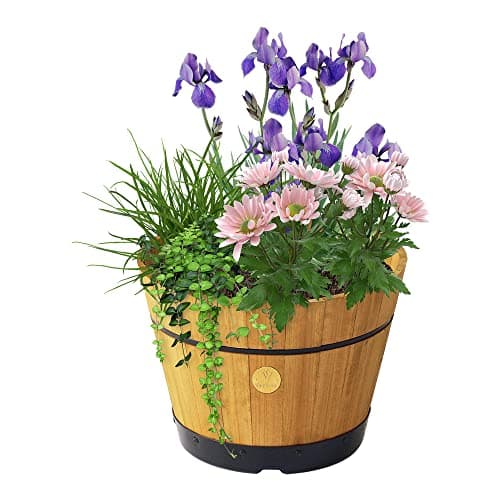 Image of VegTrug Natural Build A Barrel BABMN0771
