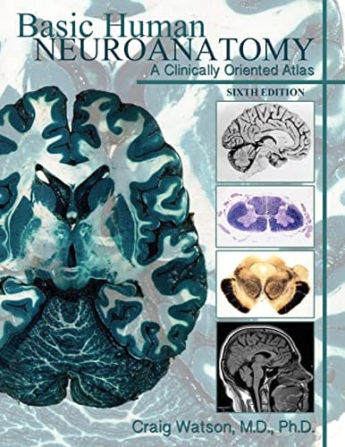 Image of Basic Human Neuroanatomy: A Clinically Oriented Atlas