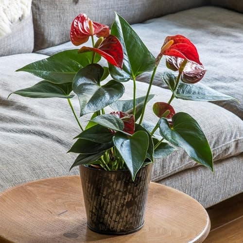 Image of Crocus Collection 14cm Metal Planter Flower Pot Zinc Galvanised Steel Decorative Herringbone