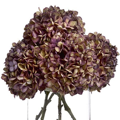 Image of The Recipe Autumn Burgundy Hydrangea Multicolour One Size