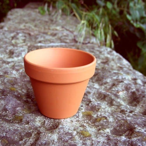 Image of Weston Mill Pottery [F8] Small terracotta plant pots (pack of 10) 80mm diameter x 70mm high