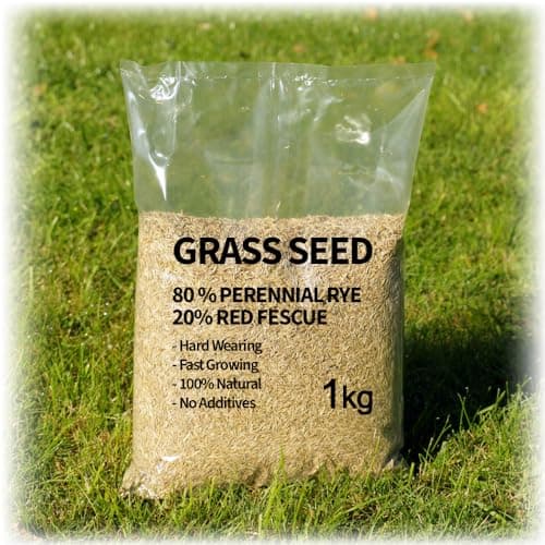 Image of Grass Seed - Premium Perennial Ryegrass & Red Fescue Blend Lawn Seed Mix for Lush, Durable UK Gardens (1, Kilograms)