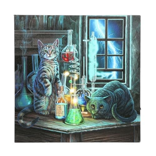 Image of Lisa Parker Jekyll and Hyde Light Up Canvas (One Size) (Black/Multicoloured)