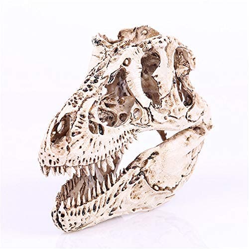 Image of VOANZO Resin Tyrannosaurus Rex Skull Model Replica, Dinosaur Tooth Skull Fossil, Photography Props Teaching Tool Home Ornament