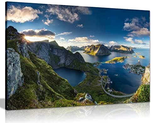 Image of Panther Print Fine Art Prints Anderdalen National Park Landscape Artistic Framed Canvas Print, Pictures for Home Walls, Bedroom, Living Room & Bathroom Decor 91x61cm (36x24in)
