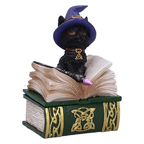 Image of Binx Small Witches Familiar Black Cat and Spellbook Figurine Box