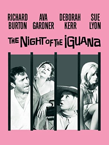 Image of The Night of the Iguana