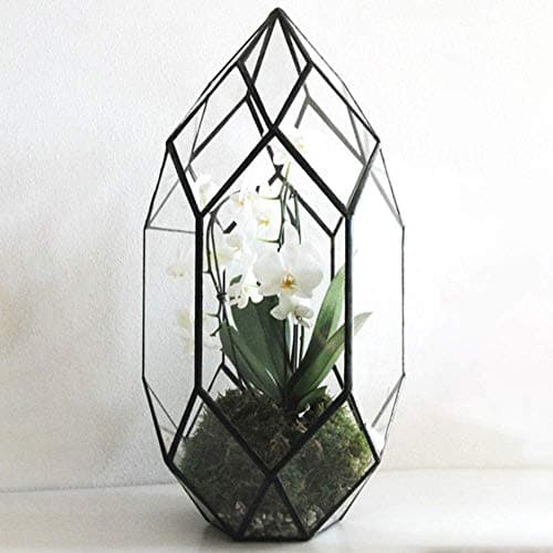 Image of Handmade 10" Large Glass Terrarium Irregular Geometric Planter Indoor Air Plants Holder Window Balcony Display Succulent Flower Pot, Black (5.9"L x 11"W x 6.5"H)
