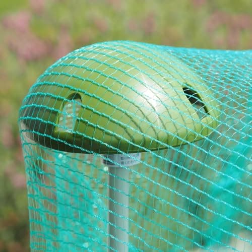 Image of Plant Stake Dome Connector Pk of 4 | For Strawberry Supports Tomato Cages Garden Canes Tubes Plant Protection Bird Netting Covers (19mm Diameter)