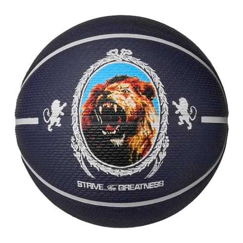 Image of Nike Playground Basketball 8P LeBron James – Outdoor Street Basketball – Robust Training Basketball – Delivered Deflated, Purple Ink/Phantom/Black/Phantom, 7