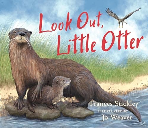 Image of Look Out, Little Otter