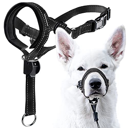 Image of GoodBoy Dog Head Halter with Safety Strap - Stops Heavy Pulling On The Leash - Padded Headcollar for Small Medium and Large Dog Sizes - Head Collar Training Guide Included (Size 3, Black)