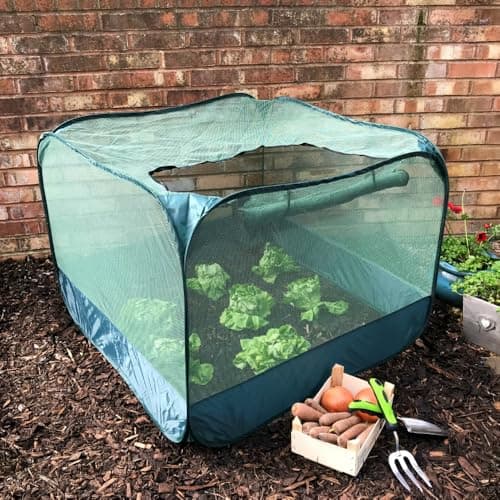 Image of GardenSkill Pop Up Fruit and Vegetable Cage Grow-House - Plant Crop Protection Bird Net Cover Cloche (1m x 0.75m high)