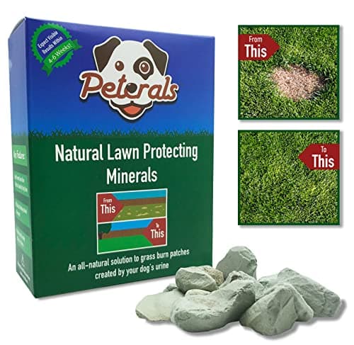 Image of Peterals 600g | All-Natural Dog Urine Neutraliser | Mineral Rocks for Water Bowls to Prevent & Repair Dog Grass Burn Patches