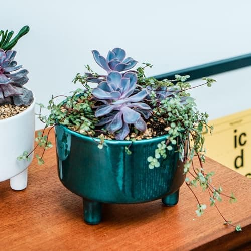 Image of Ivyline Pisa Premium Glaze Bowl Ceramic Planter on Legs - Emerald - Premium Quality, UV Stable & Waterproof Indoor Decorative Flower Pot - H14cmxD19cm