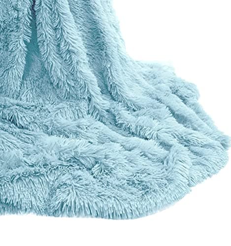 Image of Teddy Fleece Luxury Hug and Snug Cuddles Fluffy Faux Fur Sherpa Reversible Throw Sofa Bed Super Soft Warm and Cosy Blanket Throw Duck Egg 150cm x 200cm Approximate